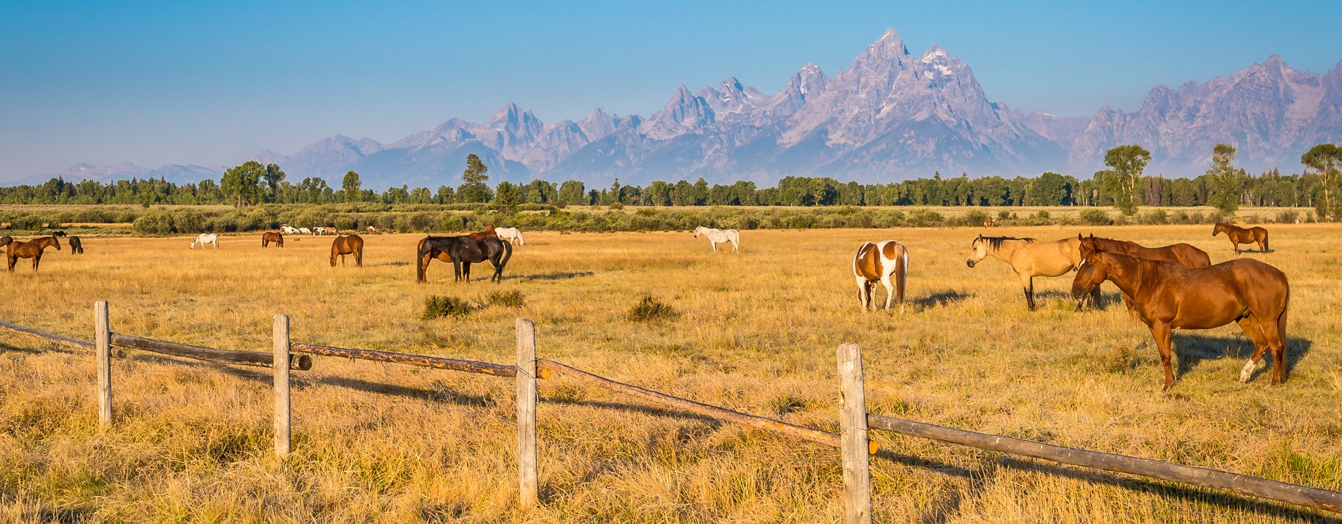 What you need to know before moving to Wyoming